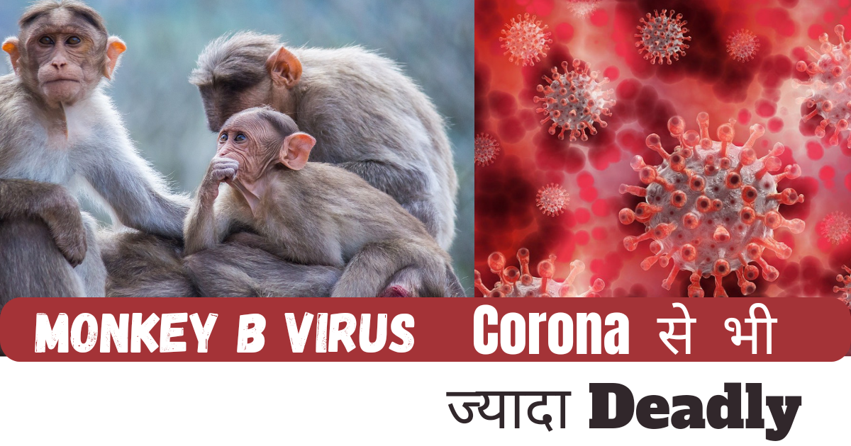 Monkey_b_virus_corona_se_bhi_deadly_mjkeblogs